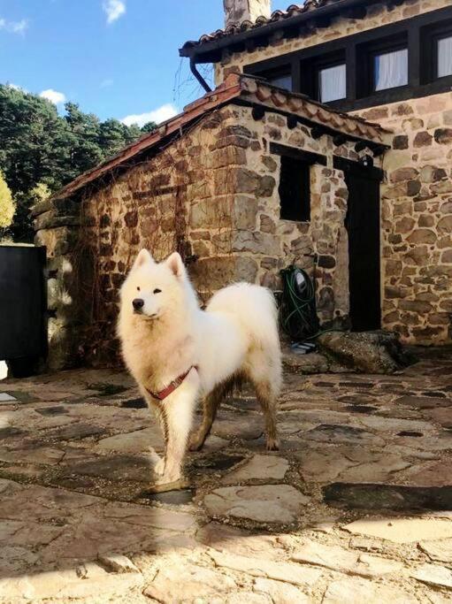 Casa Con Encanto Lagunanegra Y Urbion Vinuesa Zewnętrze zdjęcie